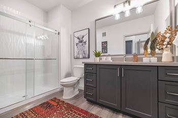 A bathroom with a shower toilet and sink and a rug